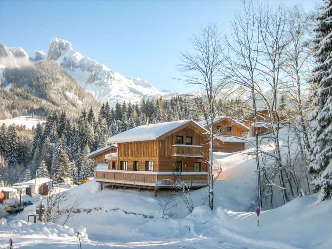 Chalet Annaberg Gamsblume