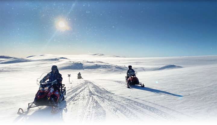 Snescootersafari i svensk vildmark