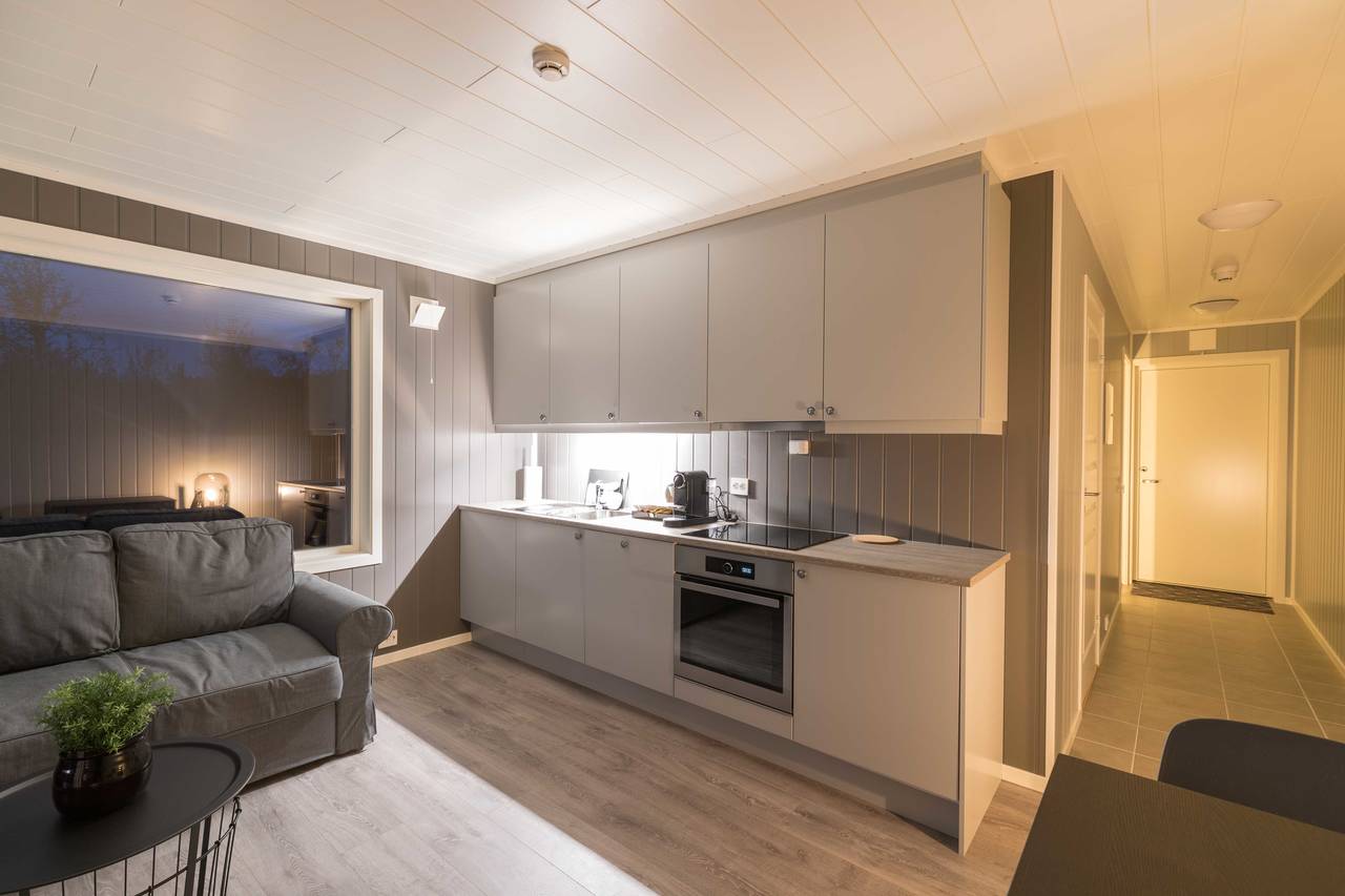 Aurora Borealis Observatory