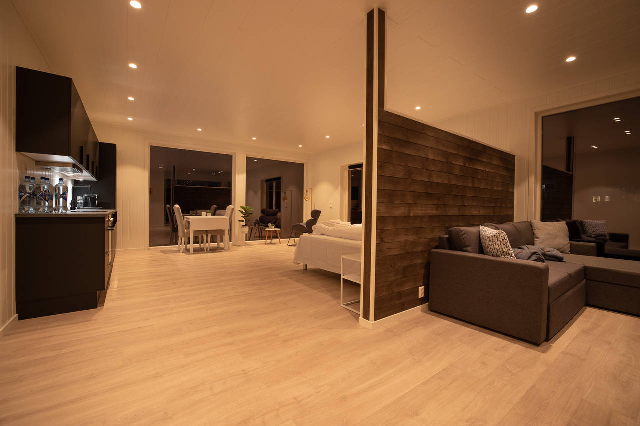 Aurora Borealis Observatory